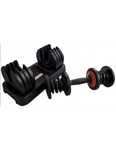 DUMBBELL REGOLABILE 2.5-24 KG