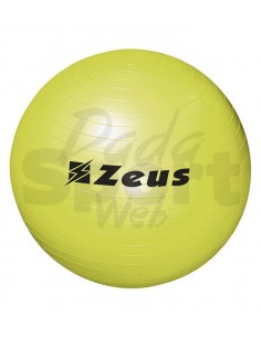 GYM BALL ZEUS 2