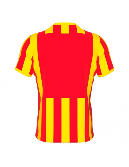 STRIP MAGLIA ERREA